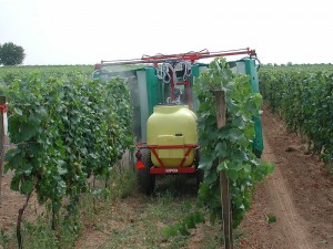 tractor spraying vines with pesticides