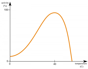 enzyme activity and temperature