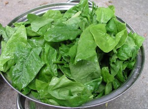 bowl of baby spinach leaves