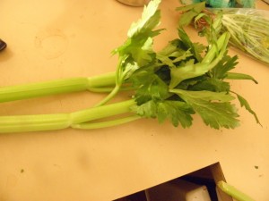 celery on the bench