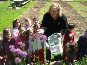 preschool children and teacher looking at flowers in the garden