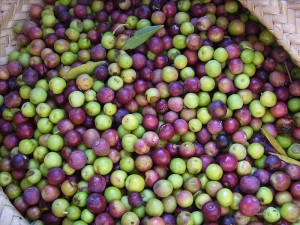 olives