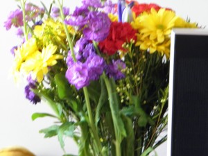 bunch of brightly coloured flowers