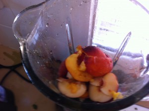 blender jug with peaches and nectarines - makings of wine cocktail