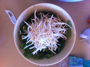 salad bowl with pea leaves and bean sprouts