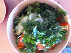 salad bowl with coriander and mint