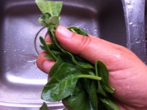 hand holding green leaves over sink
