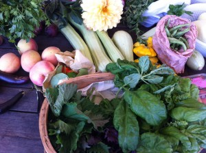 basket of basil, some zucchini, peaches and other foods