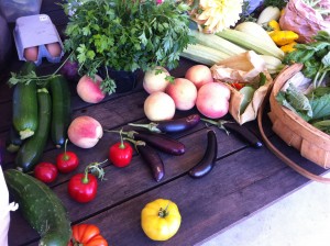 table laden with assortment of fresh vegetables