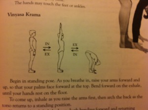 Diagram showing posture for standing forward bend