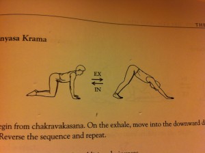 diagram posture Adhomukha Shvanasana - Downward Dog