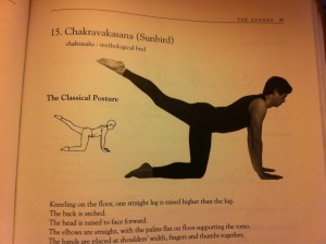 diagram posture - Chakravakasana - Sunbird