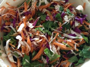 Shredded cabbag, carrot, bean shoots, mint and coriander