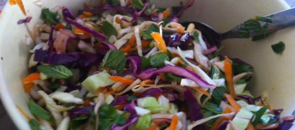 salad of cabbage, mint, coriander, bean sprouts and carrot