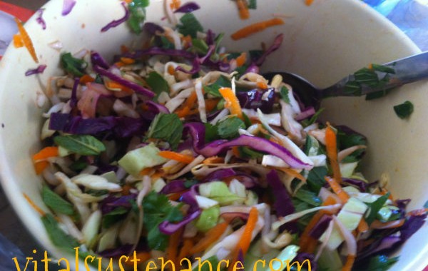 salad of cabbage, mint, coriander, bean sprouts and carrot