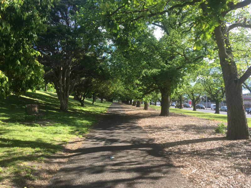 running park on the way to swimming laps